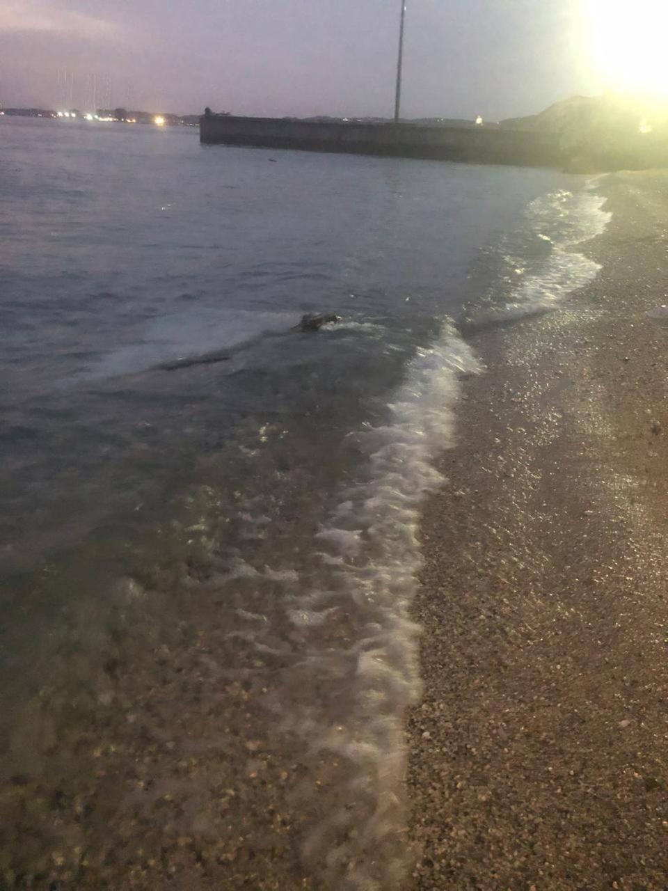 Sinani Seaside * Vlorë